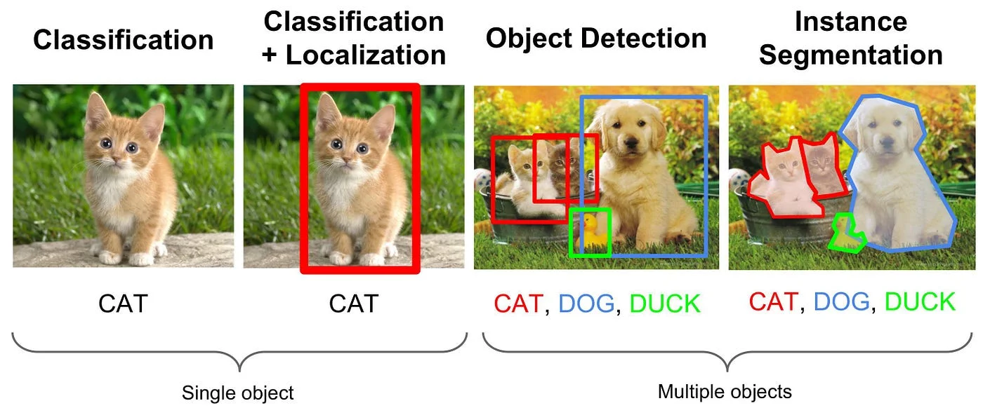 image-classification