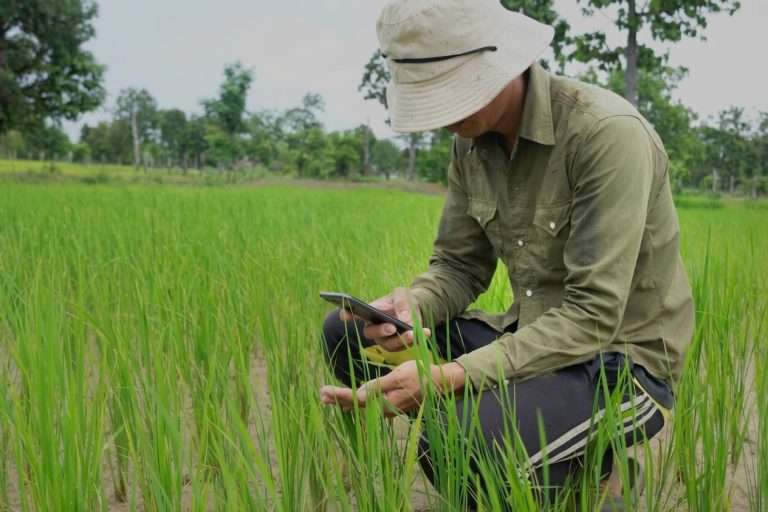 L’IA dans l’agriculture une révolution silencieuse qui transforme durablement les modèles agricoles