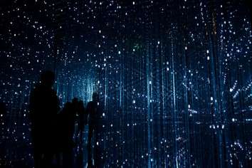 Le Guide Complet de la Data Curation : Transformer le Chaos des Données en Valeur Stratégique