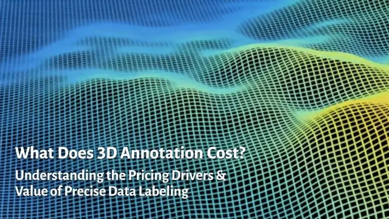 [EN] Article 128 - 3D annotation - n┬░8 - What Does 3D Annotation Cost