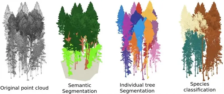 [EN] Article 130 - 3D annotation - n┬░10 - 3D Annotation in Forestry and Agricultural Environments