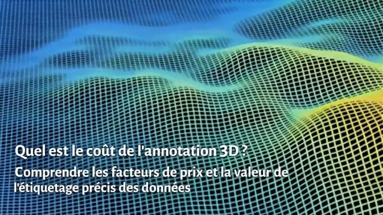 [FR] Article 128 - Annotation 3D - n┬░8 - Combien coûte l'annotation 3D