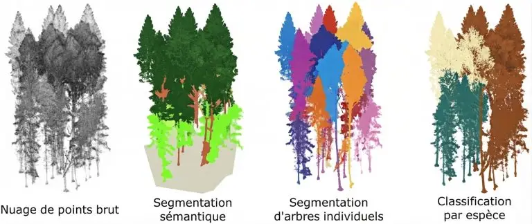 [FR] Article 130 - Annotation 3D - n┬░10 - Annotation 3D en environnement forestier et agricole