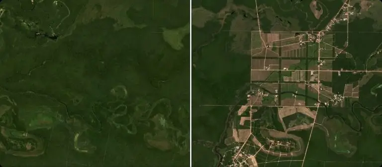 [FR] Article 065 - Imagerie satellite - n-¦5 - Déforestation et usage des sols - suivi par imagerie satellite