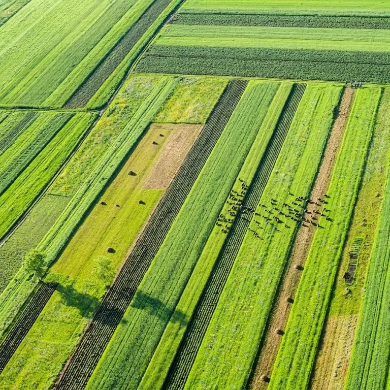 [FR] Article 066 - Imagerie satellite - n-¦6 - Agriculture vue du ciel - parcelles, cultures et indices